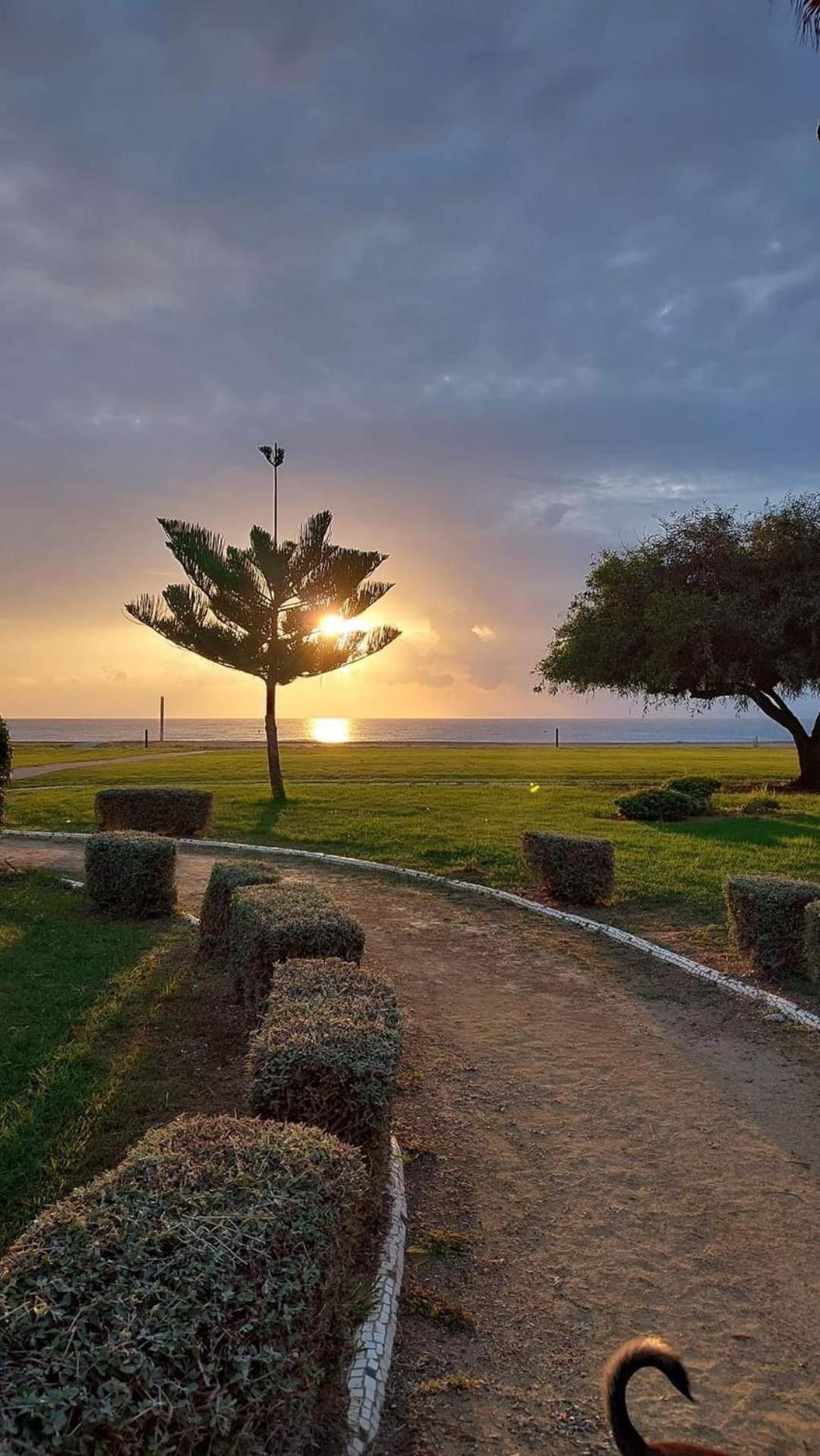 Apartamento Magic World Nueva Marina D'Or 2 Dormitorios Edificio Torremar Oropesa del Mar Ngoại thất bức ảnh